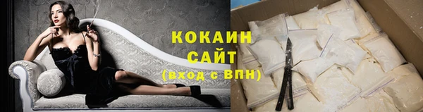 прущие грибы Богданович