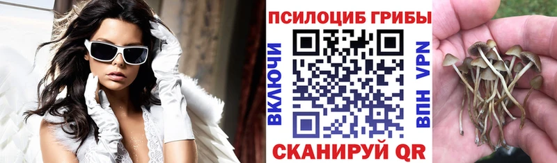 Галлюциногенные грибы Cubensis  где можно купить   Краснотурьинск 